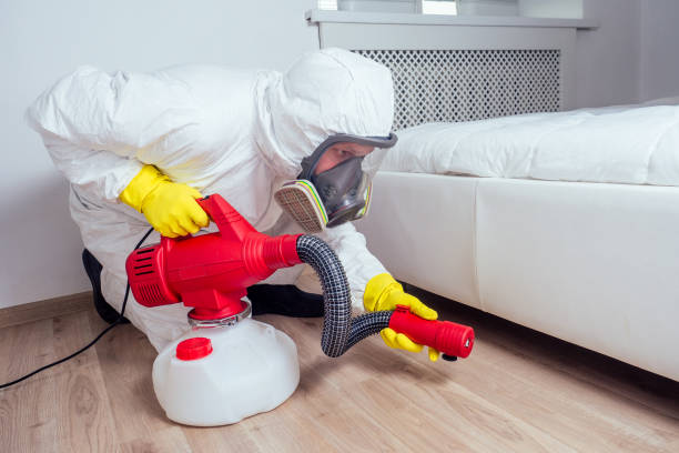 Professional Pest Control in Deltona, FL